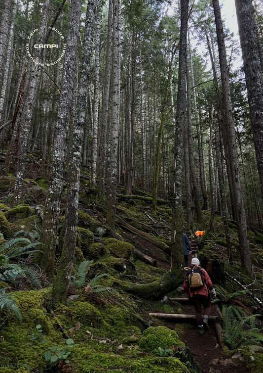The Science-Backed Benefits of Spending Time in Nature